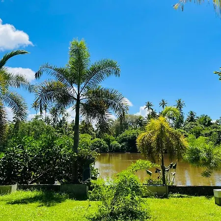 Villa The Leaf Велигама Экстерьер фото